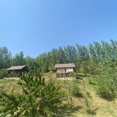 Hotel Nirvana Dilijan Eksteriør bilde