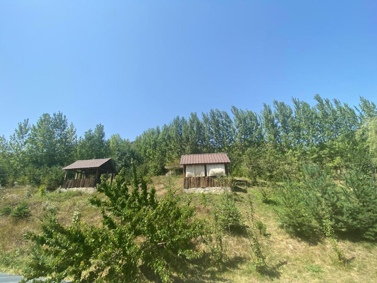 Hotel Nirvana Dilijan Eksteriør bilde