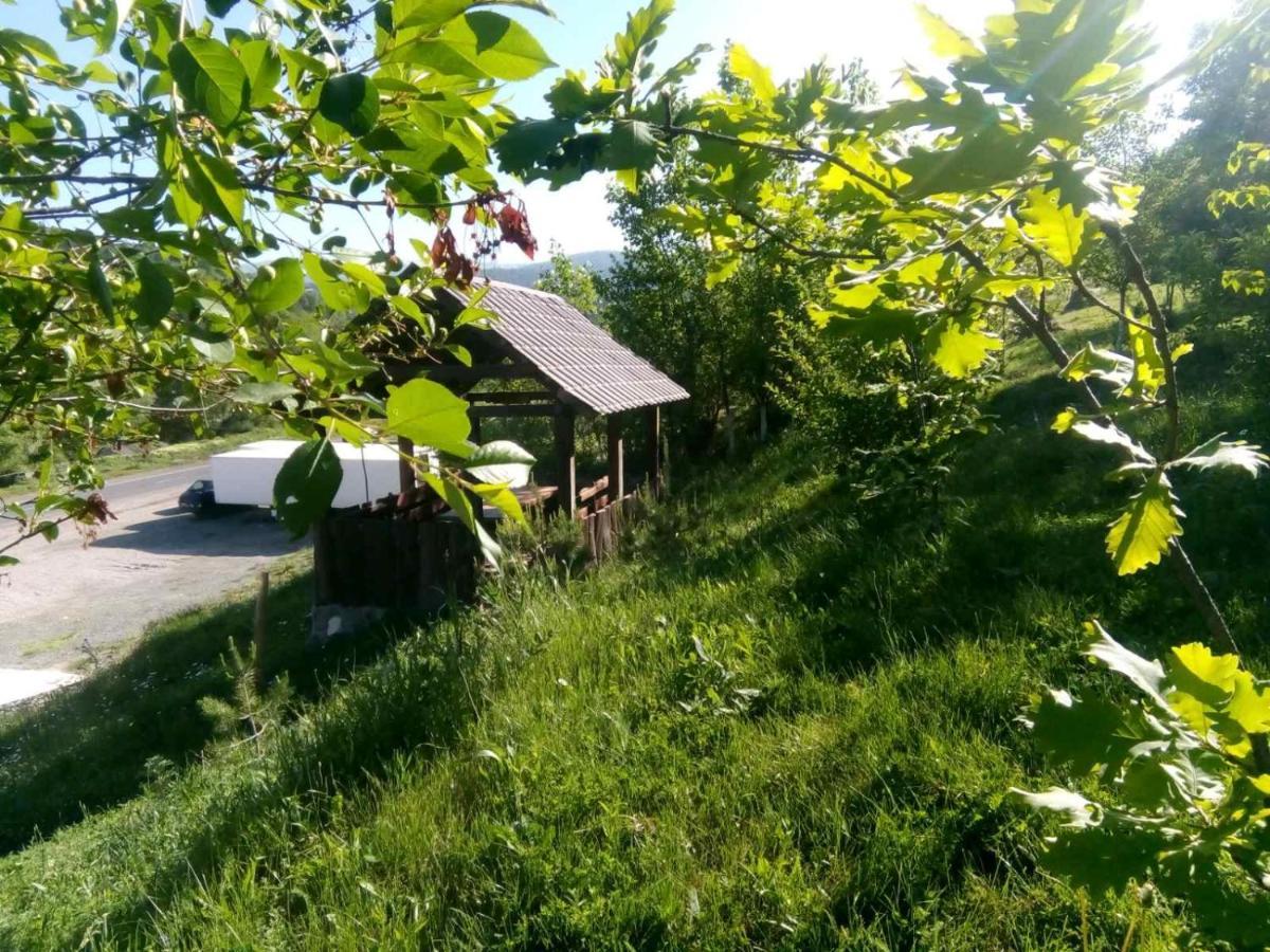 Hotel Nirvana Dilijan Eksteriør bilde
