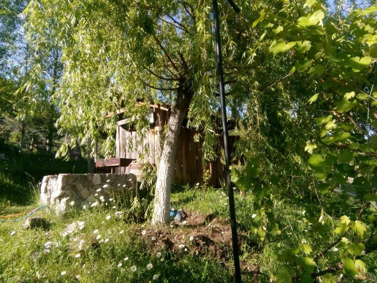 Hotel Nirvana Dilijan Eksteriør bilde