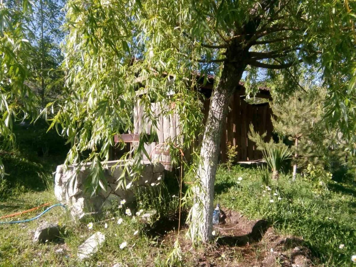 Hotel Nirvana Dilijan Eksteriør bilde